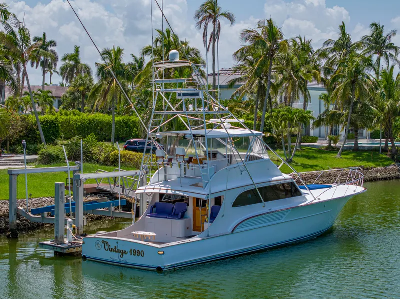 Slide: The Image of 1990 Buddy Davis 61 Convertible yacht docked near palm trees. - 2