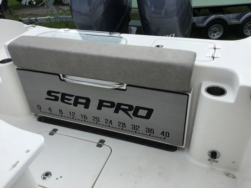 Slide: The Image of Sea Pro 259 TT DLX GY/GY PR200Y 2023 - 11