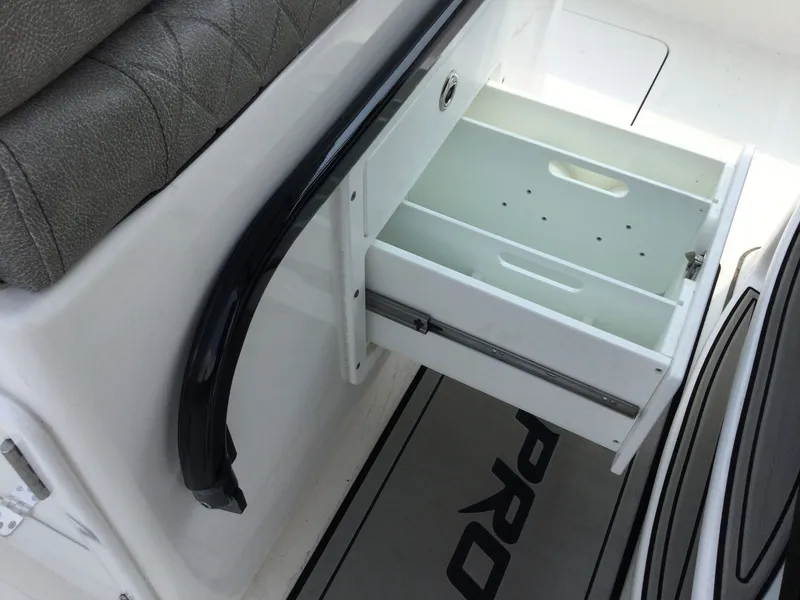 Slide: The Image of Sea Pro 259 TT DLX GY/GY PR200Y 2023 - 12