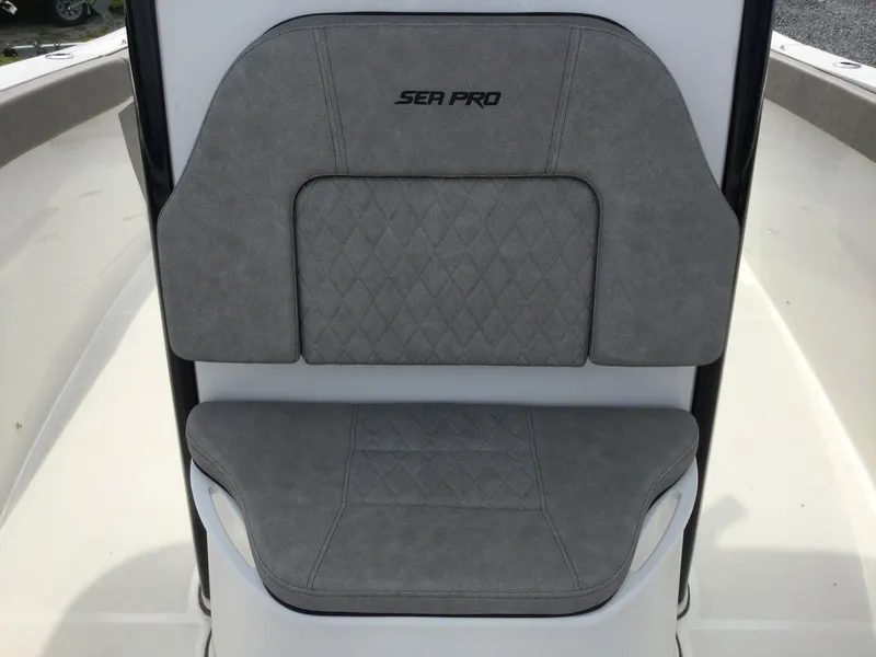 Slide: The Image of Sea Pro 259 TT DLX GY/GY PR200Y 2023 - 16