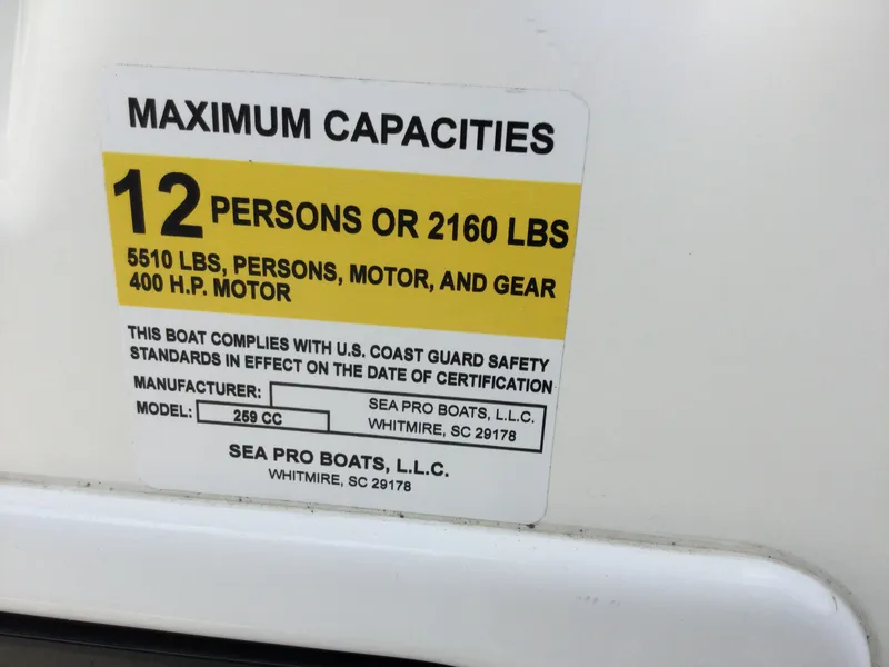 Slide: The Image of Sea Pro 259 TT DLX GY/GY PR200Y 2023 - 17