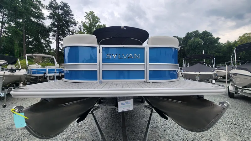 Slide: The Image of Sylvan Mirage 8524 CLZ 2024 - 3