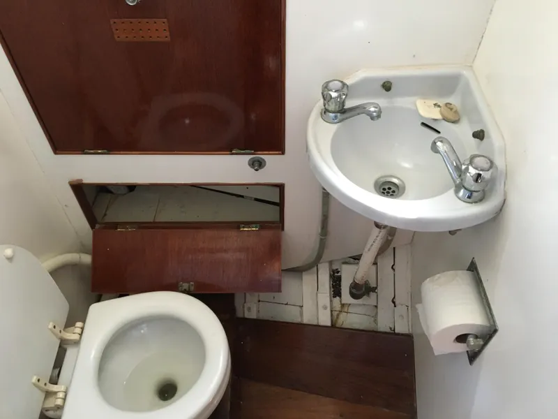 Slide: The Image of Head - 10