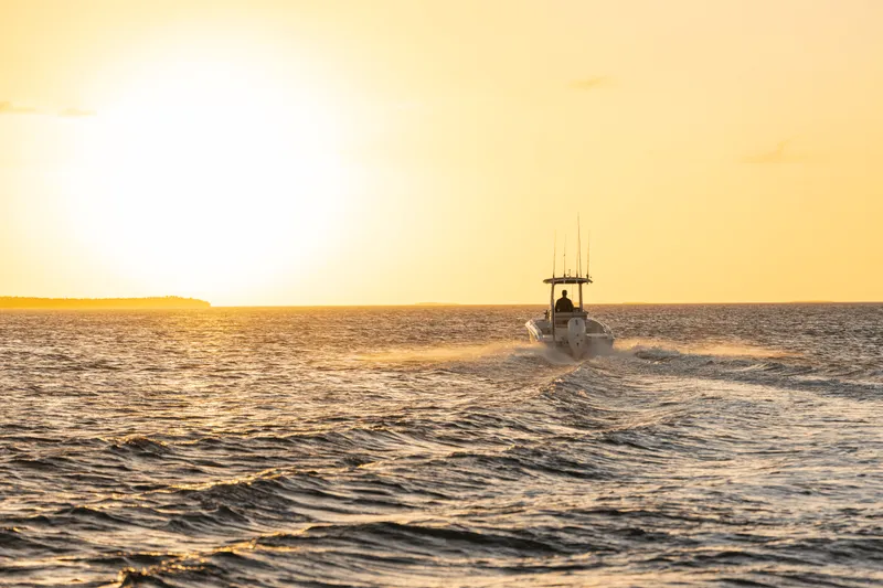 Slide: The Image of Boston Whaler 220 Dauntless 2027 - 9