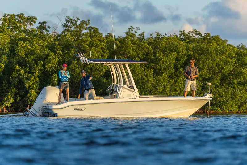 Slide: The Image of Boston Whaler 220 Dauntless 2027 - 17