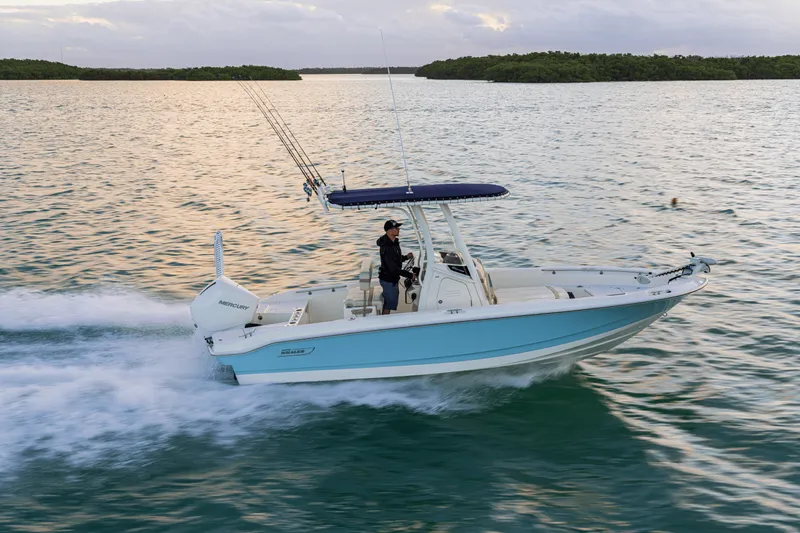 Slide: The Image of Boston Whaler 220 Dauntless 2027 - 25