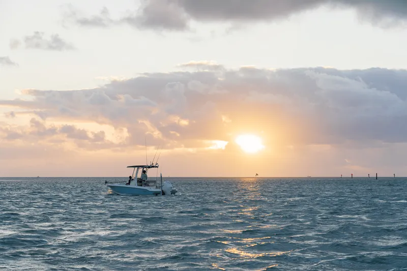 Slide: The Image of Boston Whaler 220 Dauntless 2027 - 4