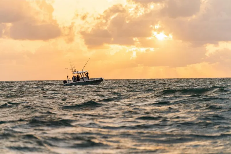 Slide: The Image of Boston Whaler 280 Dauntless 2027 - 106