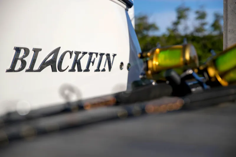 Slide: The Image of Blackfin 332cc 2024 - 50