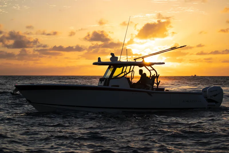 Slide: The Image of Blackfin 332cc 2024 - 55