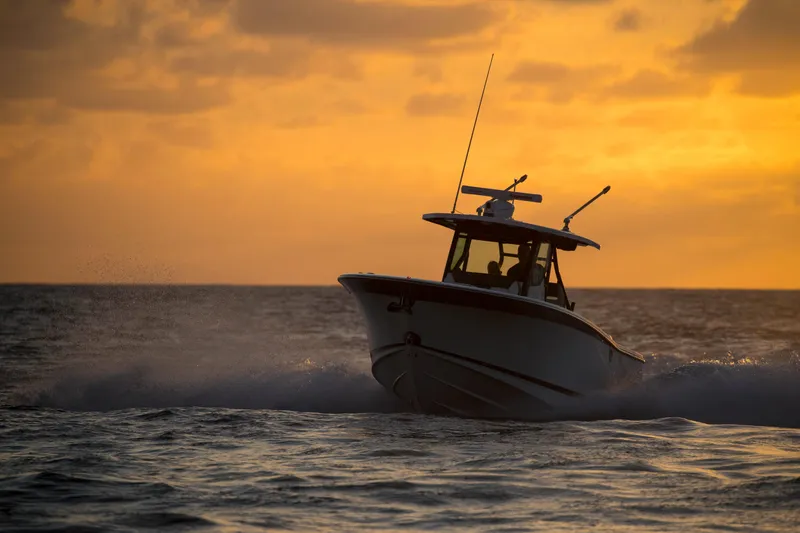 Slide: The Image of Blackfin 332cc 2024 - 56