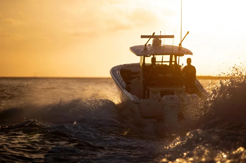 Slide: The Image of Blackfin 332cc 2024 - 67