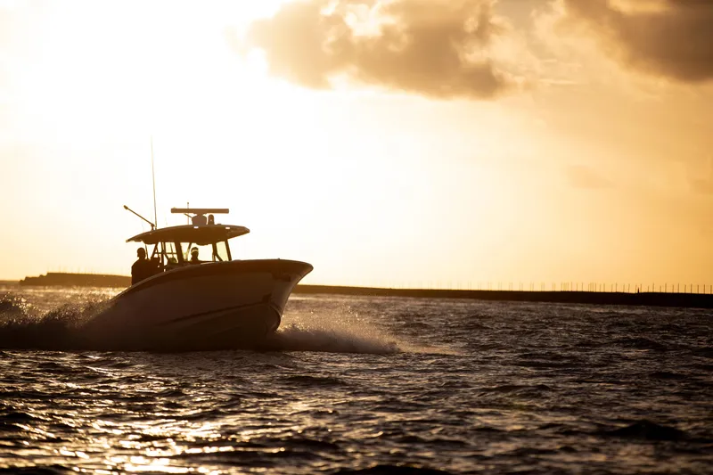 Slide: The Image of Blackfin 332cc 2024 - 69