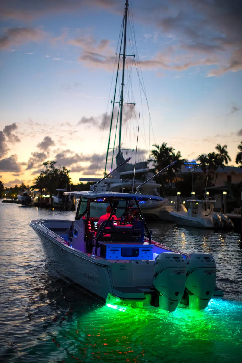 Slide: The Image of Blackfin 332cc 2024 - 71