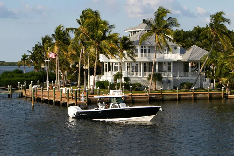 Slide: The Image of Blackfin 332cc 2024 - 78