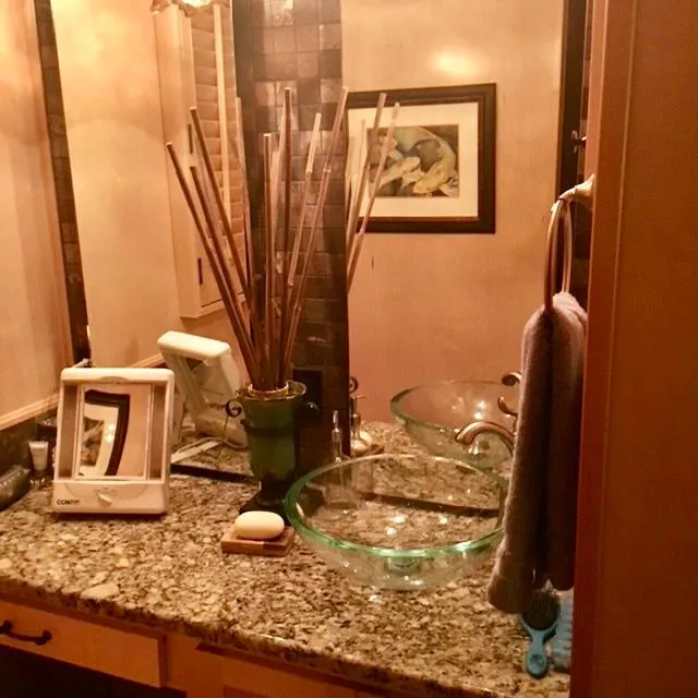 Slide: The Image of Thoroughbred 67x17 2016 - 113