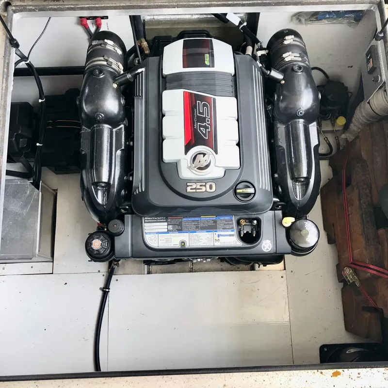 Slide: The Image of Thoroughbred 67x17 2016 - 117