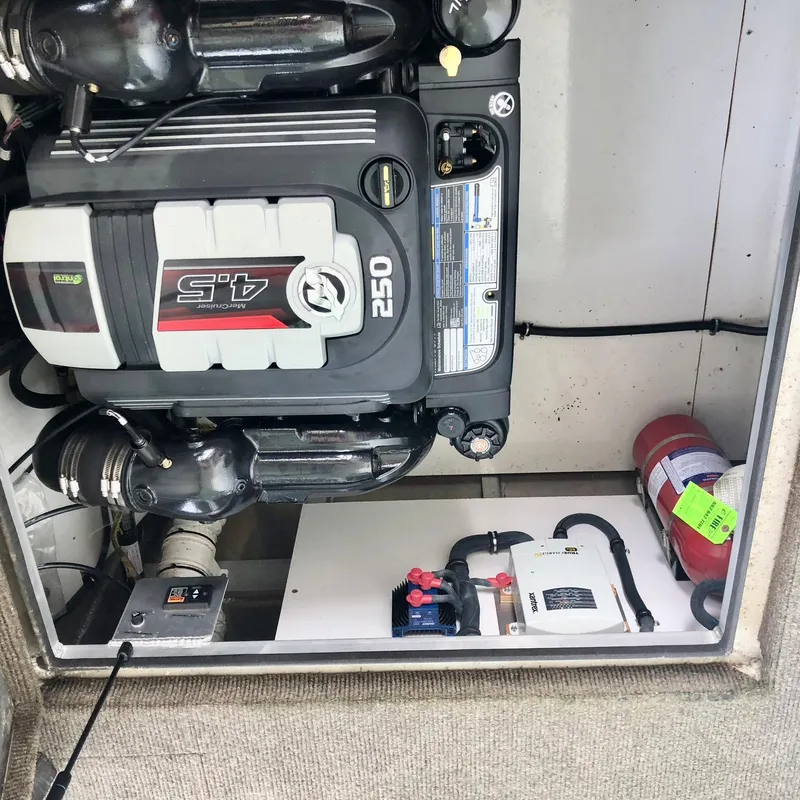 Slide: The Image of Thoroughbred 67x17 2016 - 119