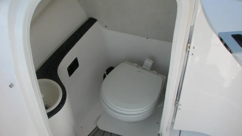 Slide: The Image of Electric Head - 8