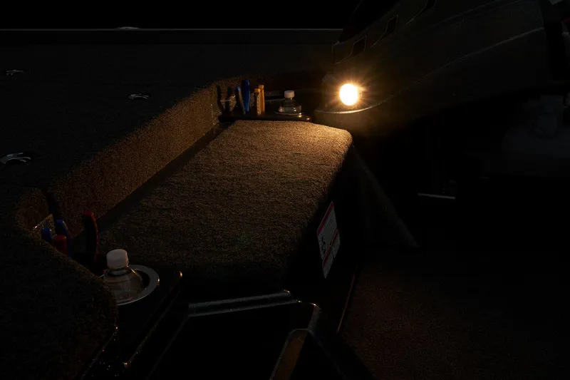 Slide: The Image of 2024 Nitro Z20 Pro boat interior with illuminated storage compartment. - 29