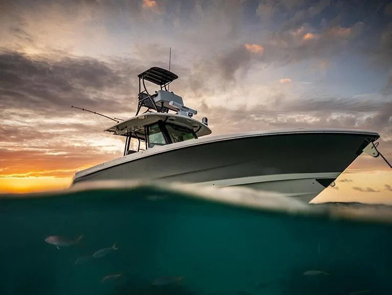 The Image of 2024 Boston Whaler 360 Outrage at sunset, partially submerged in water. - 1