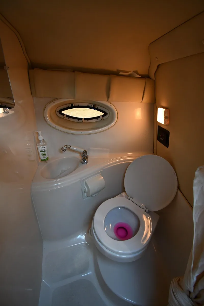 Slide: The Image of 2006 Monterey 298SC Super Sport interior with TV, light fixture, and wood paneling. - 47