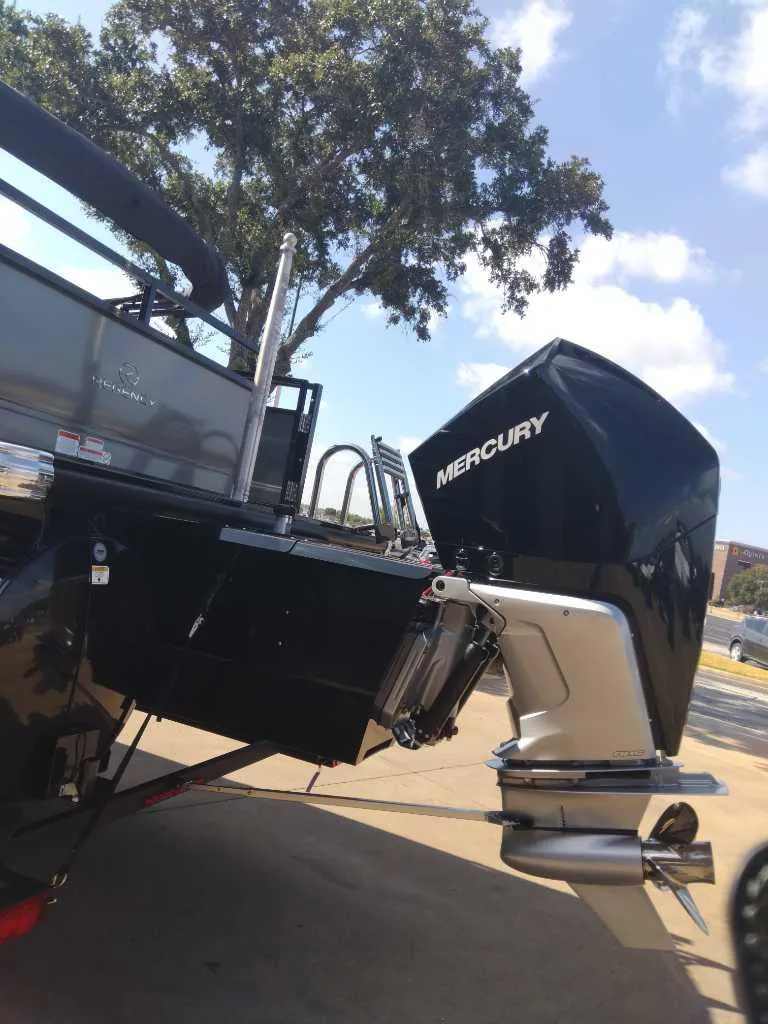 Slide: The Image of 2024 Regency 250 DL3 boat with Mercury outboard motor. - 3