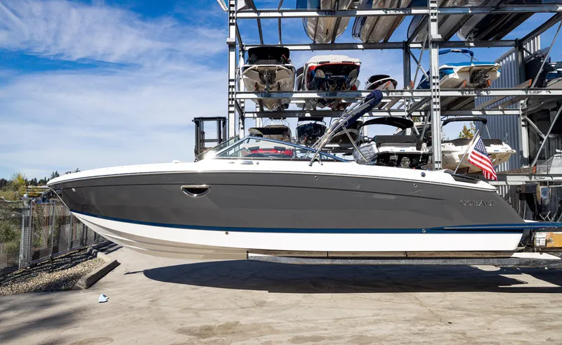 The Image of Cobalt R8 2024 - 1