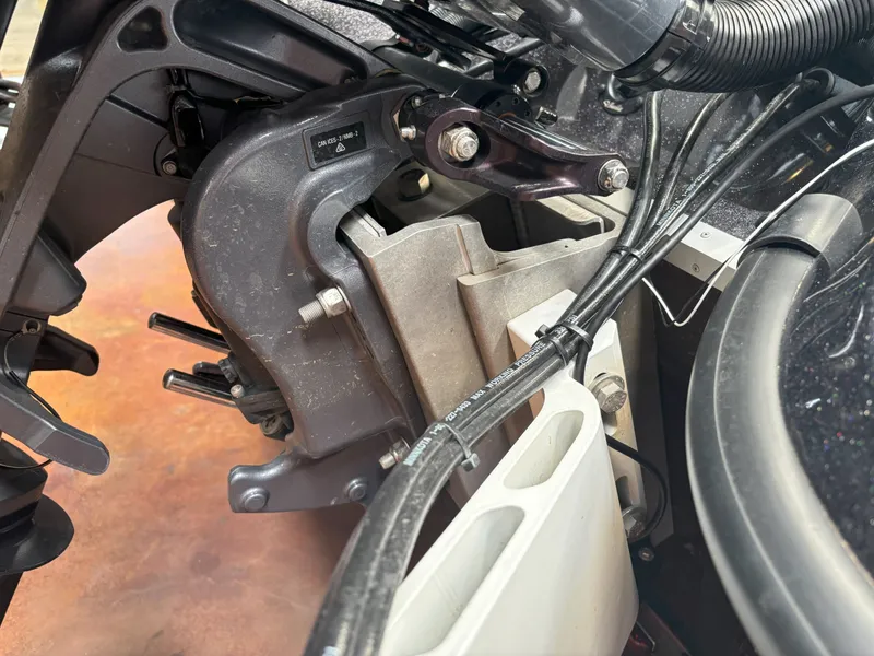 Slide: The Image of Bass Cat COUGAR FTD 203 HYBRID 2024 - 11