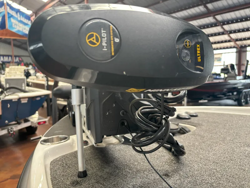 Slide: The Image of Bass Cat COUGAR FTD 203 HYBRID 2024 - 21