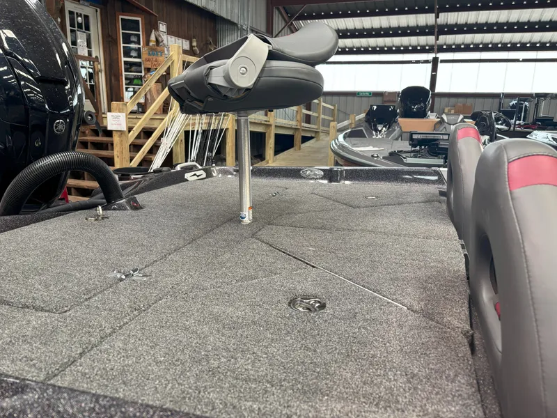 Slide: The Image of Bass Cat COUGAR FTD 203 HYBRID 2024 - 26