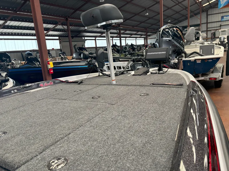 Slide: The Image of Bass Cat COUGAR FTD 203 HYBRID 2024 - 5