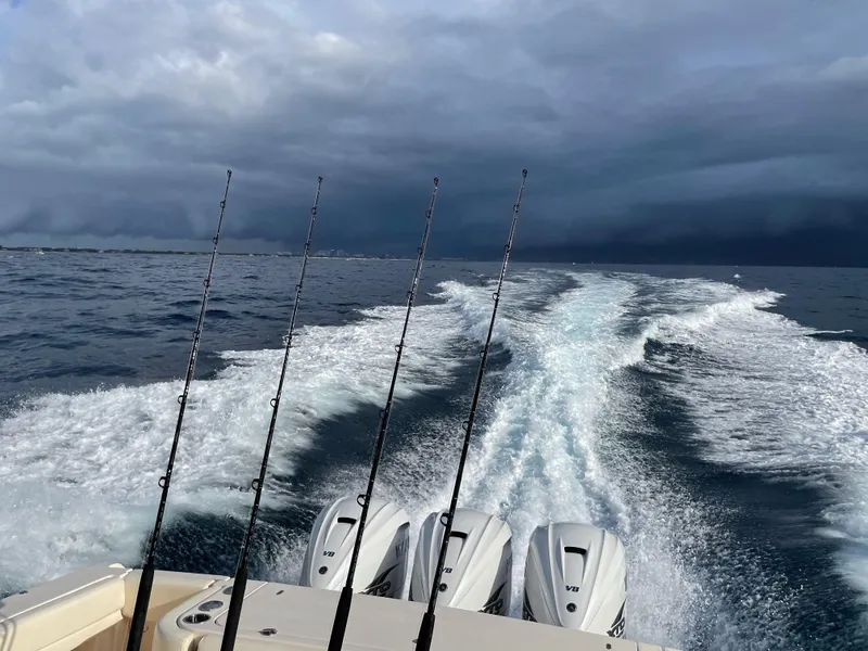 Slide: The Image of Dark and stormy - 5