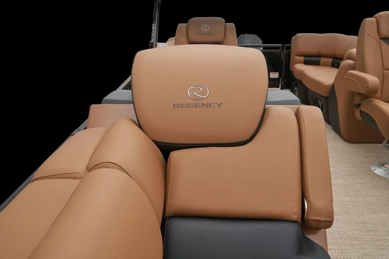 Slide: The Image of 2024 Regency 250 LE3 boat with luxurious tan leather seating. - 17