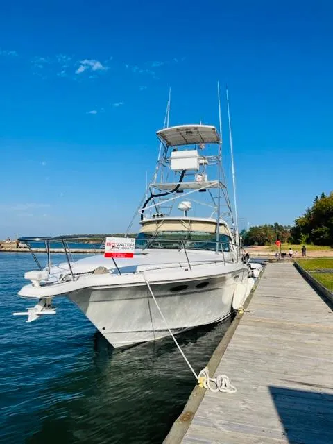 Slide: The Image of 1998 Sea Ray Express Cruiser docked by a wooden pier under a clear blue sky. - 3