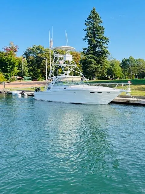 Slide: The Image of 1998 Sea Ray Express Cruiser docked on a sunny day, surrounded by lush greenery. - 5