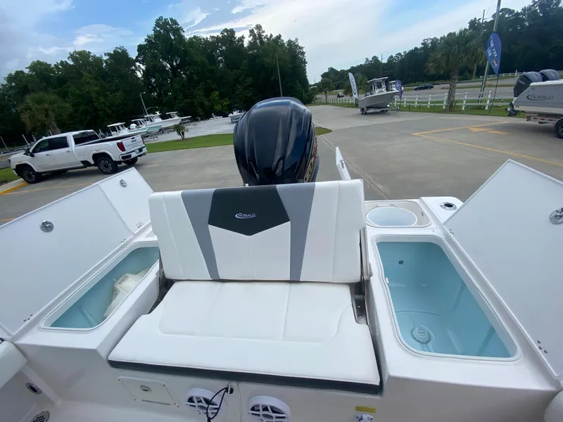 Slide: The Image of 2024 Robalo 246 Cayman boat with seating and storage compartments. - 9