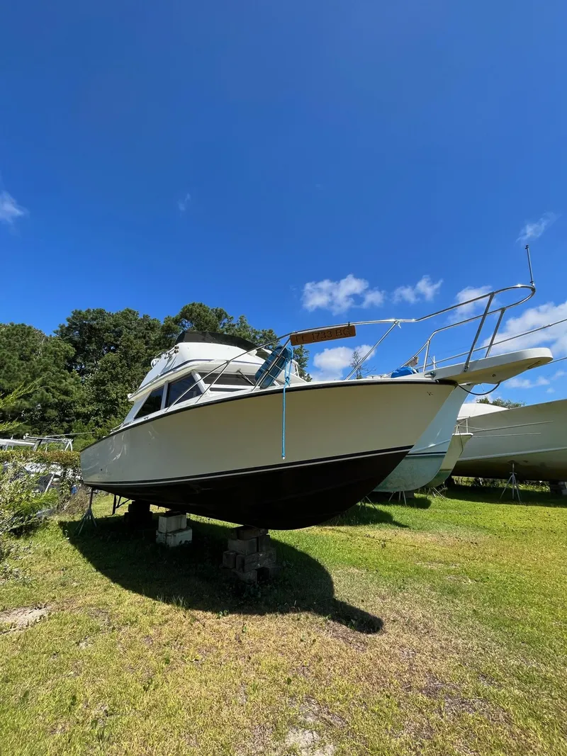 The Image of Bertram 28 1973 - 0