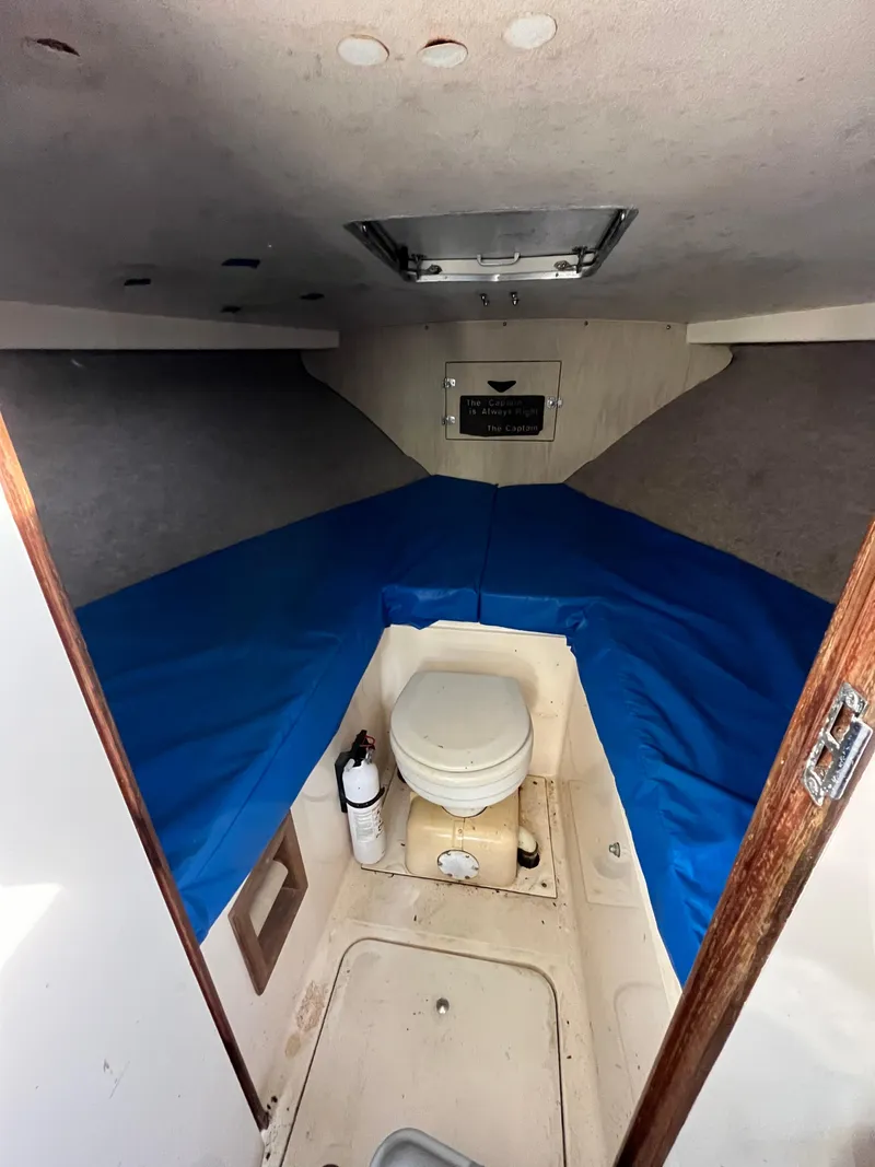 Slide: The Image of Bertram 28 1973 - 14