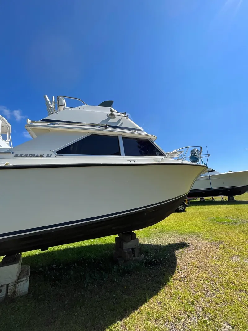 Slide: The Image of Bertram 28 1973 - 3