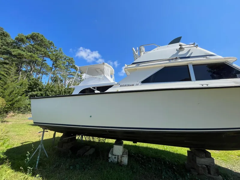 Slide: The Image of Bertram 28 1973 - 4