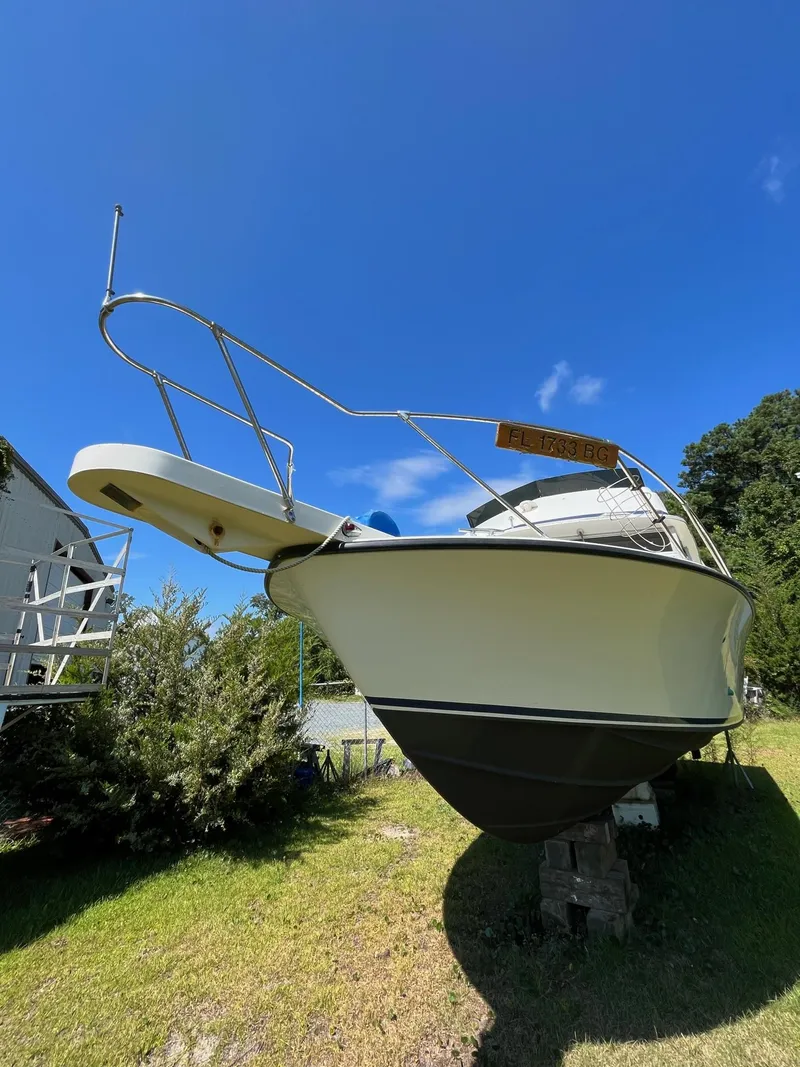 Slide: The Image of Bertram 28 1973 - 5