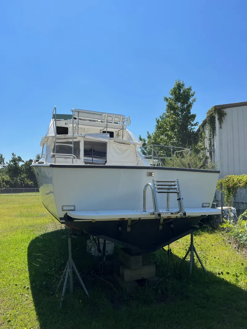 Slide: The Image of Bertram 28 1973 - 6