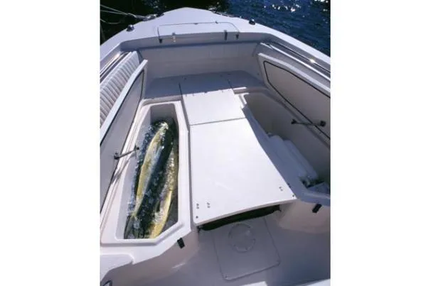 Slide: The Image of Grady-White Canyon 283 2015 - 37