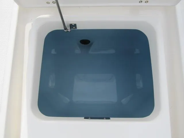 Slide: The Image of Livewell compartment of 2024 Boston Whaler 250 Dauntless boat. - 11