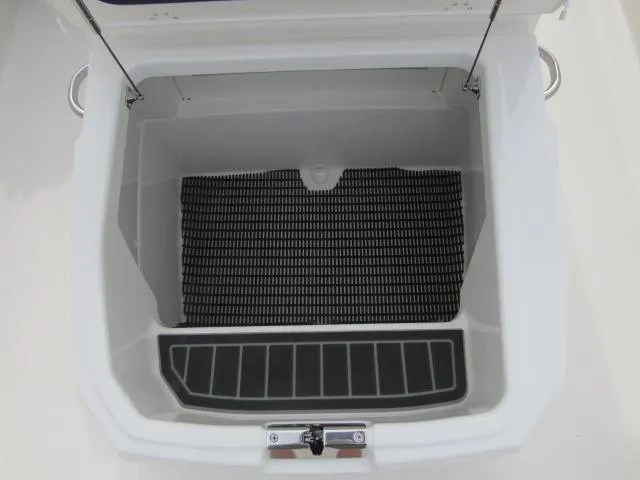 Slide: The Image of Open storage compartment of 2024 Boston Whaler 250 Dauntless boat. - 24