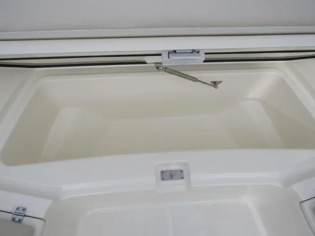 Slide: The Image of 2024 Boston Whaler 250 Dauntless storage compartment. - 25