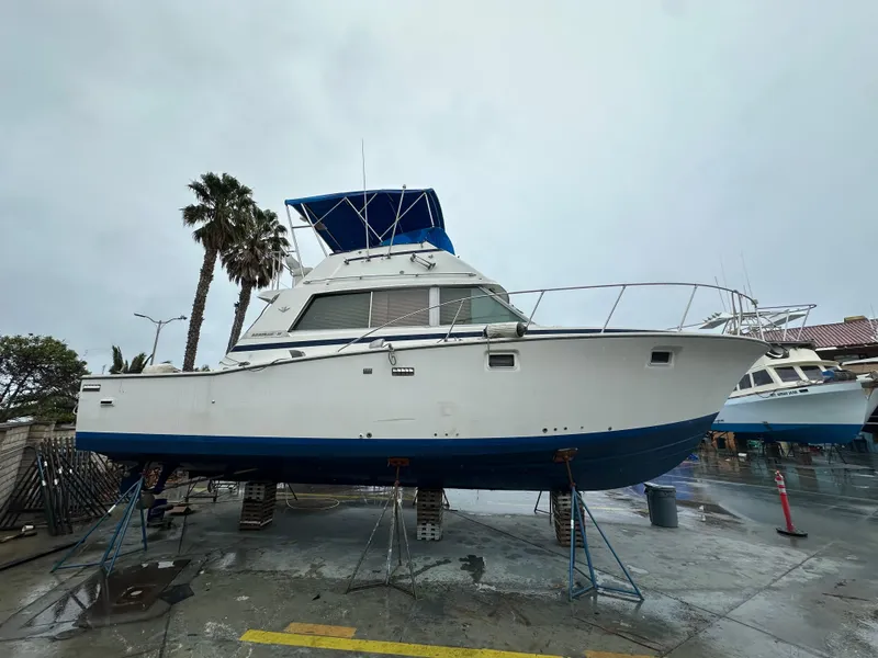 The Image of 1981 Bertram 38III Convertible boat on stands, with blue and white hull, dockside setting. - 0