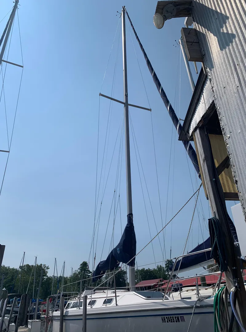 Slide: The Image of Catalina 30 Tall-Rig 1987 - 56