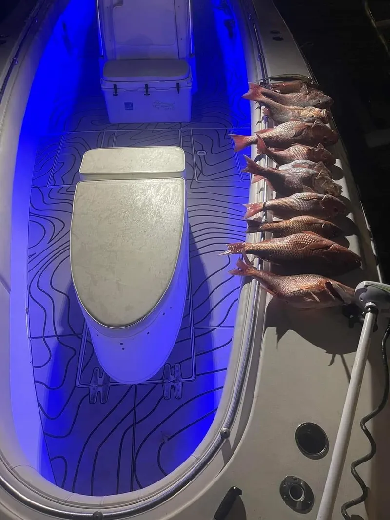 Slide: The Image of 2000 Contender 36 Open boat with blue LED lights and freshly caught fish. - 4